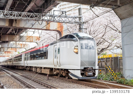 【西大井駅】満開の桜と特急成田エクスプレス 【西大井駅】満開の桜と特急成田エクスプレス 139533178