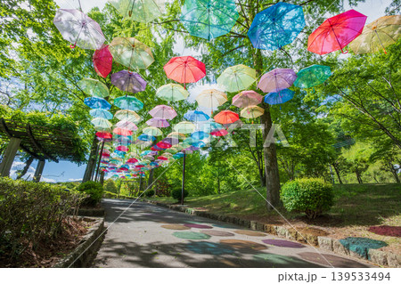 新緑の公園とアンブレラスカイ 群馬県甘楽総合公園 新緑の公園とアンブレラスカイ 群馬県甘楽総合公園 139533494