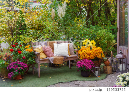 Wooden garden bench with pillows among autumn flowers and colorful foliage in fall backyard Wooden garden bench with pillows among autumn flowers and colorful foliage in fall backyard 139533725