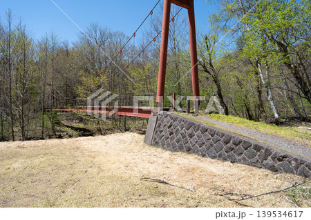西ノ湖コースにある柳沢川の橋（奥日光） 139534617
