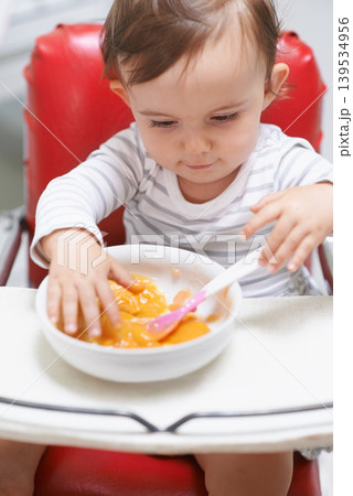 Baby, high chair and eating food in bowl for meal, nutrition or healthy porridge at home. Young, cute and adorable little child, kid or toddler playing with snack for hunger, vitamins or nutrients Baby, high chair and eating food in bowl for meal, nutrition or healthy porridge at home. Young, cute and adorable little child, kid or toddler playing with snack for hunger, vitamins or nutrients 139534956