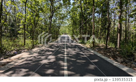 Asphalt road perspective through lush green teak forest, bright sunlight filtering through tree canopy, peaceful rural transportation way, natural woodland landscape under sunny sky, tropical view. Asphalt road perspective through lush green teak forest, bright sunlight filtering through tree canopy, peaceful rural transportation way, natural woodland landscape under sunny sky, tropical view. 139535315