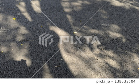 Dark asphalt road surface with abstract tree shadows, sunlight patches on black pavement, textured ground during sunny day, outdoor street detail, natural light pattern on rural way. 139535504