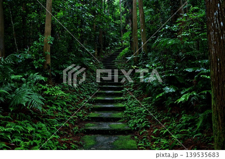 屋久島は大山神社から先にある階段を上る木々の回廊 屋久島は大山神社から先にある階段を上る木々の回廊 139535683