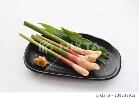 皿に盛った谷中生姜　味噌添え 139535912