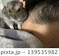 ハムスターのいる様子 139535982