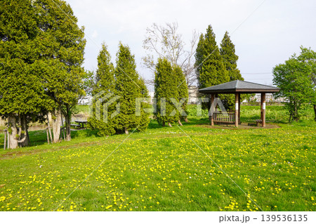 北村中央公園（ヘラブナ広場） 139536135