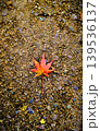 石畳に落ちた紅葉 139536137