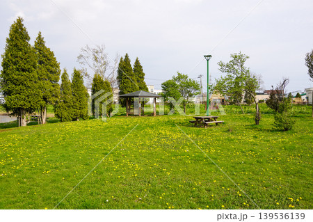 北村中央公園（ヘラブナ広場） 139536139