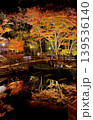 水面に映る紅葉 139536140