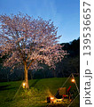 北海道北斗市【湯の沢水辺公園キャンプ場】（夜桜とキャンプ） 139536657
