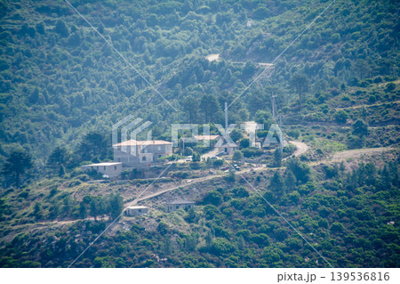 山の上から見下ろせる木々が覆い茂る山の斜面に並ぶ街並み　地中海に浮かぶフランス領のコルシカ島にて 139536816