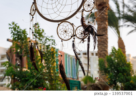 Dreamcatcher with natural feathers and beads in outdoor setting 139537001