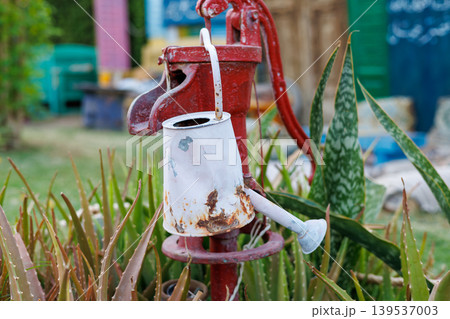 Weathered red water pump and watering can surrounded by succulents Weathered red water pump and watering can surrounded by succulents 139537003