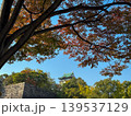 Osaka-jo (castle) and Fall leaves, Japan 139537129