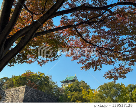 Osaka-jo (castle) and Fall leaves, Japan Osaka-jo (castle) and Fall leaves, Japan 139537129