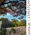 Osaka-jo (castle) and Fall leaves, Japan 139537130