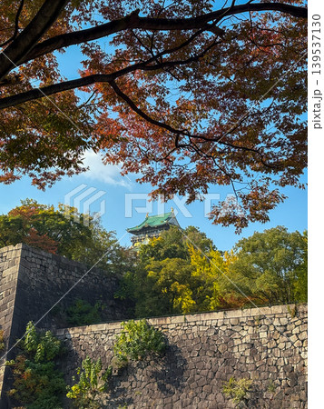Osaka-jo (castle) and Fall leaves, Japan 139537130
