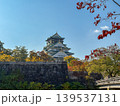 Osaka-jo (castle) and Fall leaves, Japan 139537131