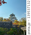 Osaka-jo (castle) and Fall leaves, Japan 139537132