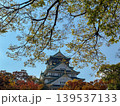 Osaka-jo (castle) and Fall leaves, Japan 139537133