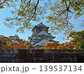 Osaka-jo (castle) and Fall leaves, Japan 139537134