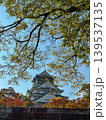 Osaka-jo (castle) and Fall leaves, Japan 139537135