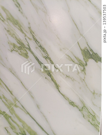Clean white background with dramatic dark green veins. 139537503