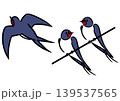 ツバメのイラストセット。アイソメトリック図。鳥のイラスト。 139537565