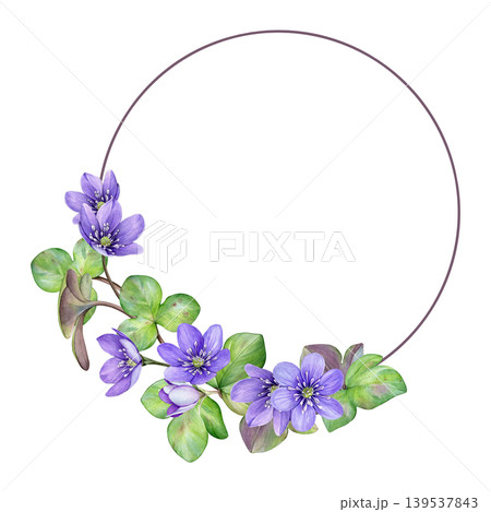 Watercolor floral frame with purple spring flowers. Hand-painted anemone hepatica flowers and green liverwort leaves. Ideal for wedding invites, branding, packaging and stationery Watercolor floral frame with purple spring flowers. Hand-painted anemone hepatica flowers and green liverwort leaves. Ideal for wedding invites, branding, packaging and stationery 139537843