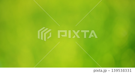 Defocused green natural background. Blurred plant. Defocused green natural background. Blurred plant. 139538331