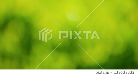 Defocused green natural background. Blurred plant. Defocused leaves. Defocused green natural background. Blurred plant. Defocused leaves. 139538332