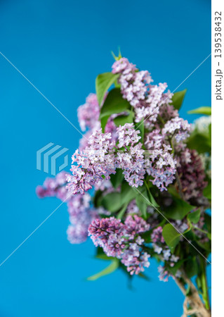 Bouquet of white and purple lilacs on a blue background Bouquet of white and purple lilacs on a blue background 139538432