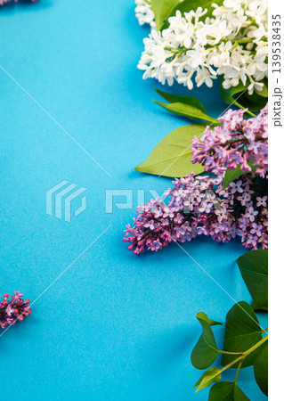 beautiful lilac bouquet in minimalist blue composition beautiful lilac bouquet in minimalist blue composition 139538435