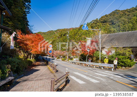 岡崎市のくらがり渓谷の風景(愛知県) 139538587