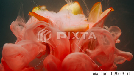 Flower abstraction. Splash paint. Blur yellow pink color tulip drop smog in water nature floating on floral art environmental dark black background. 139539151