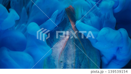 Paint water flower. Abstract fume. Defocused blue color wet smoke tulip bright plant nature on acrylic creative art background. 139539154