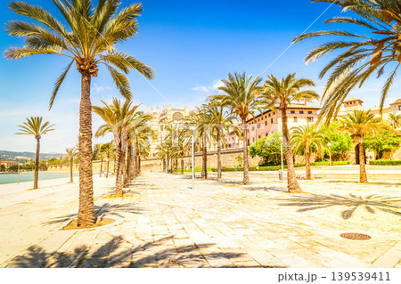 Palma de Majorca, Spain 139539411