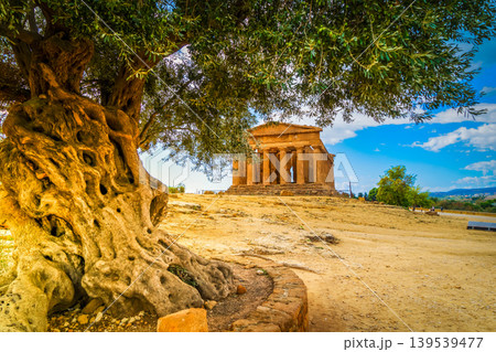 Agrigento site with ancient greek ruins, Sicily Agrigento site with ancient greek ruins, Sicily 139539477