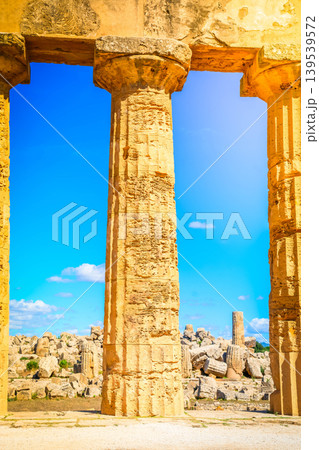 Selinunte site with ancient greek ruins, Sicily Selinunte site with ancient greek ruins, Sicily 139539572