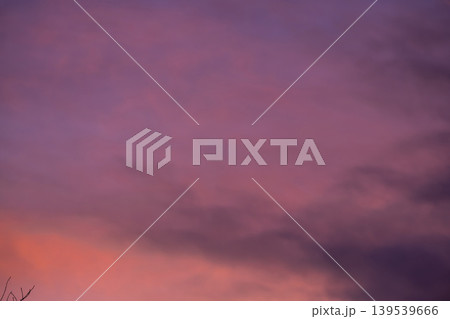 Winter background. Tree branches against pink winter sky at sunset. 139539666
