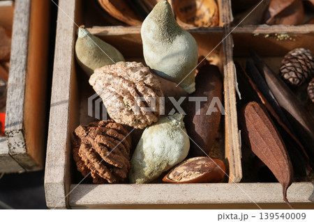 Assorted natural seed pods and cones in wooden compartment tray at a market 139540009