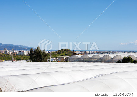 White greenhouse structures overlooking a coastal city and blue sea White greenhouse structures overlooking a coastal city and blue sea 139540774
