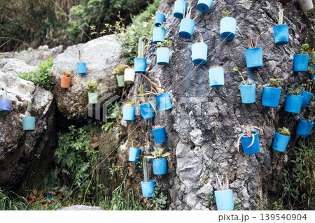 Blue and green flower pots mounted on a rocky wall, showcasing a unique vertical garden design with various plants and natural greenery in the surrounding area Blue and green flower pots mounted on a rocky wall, showcasing a unique vertical garden design with various plants and natural greenery in the surrounding area 139540904