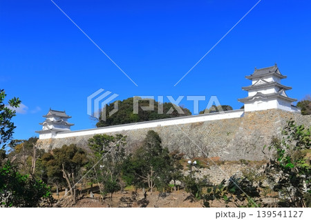【兵庫県】晴天下の明石城（坤櫓と巽櫓） 139541127
