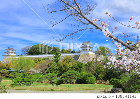 【兵庫県】桜が満開の明石城(坤櫓と巽櫓) 【兵庫県】桜が満開の明石城(坤櫓と巽櫓) 139541143