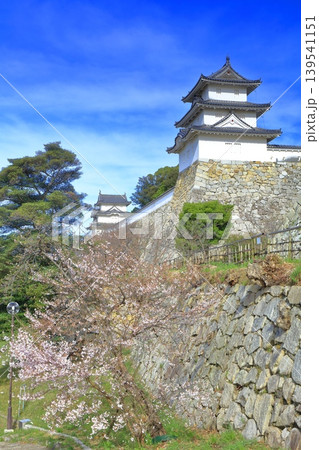 【兵庫県】桜が満開の明石城(巽櫓) 【兵庫県】桜が満開の明石城(巽櫓) 139541151