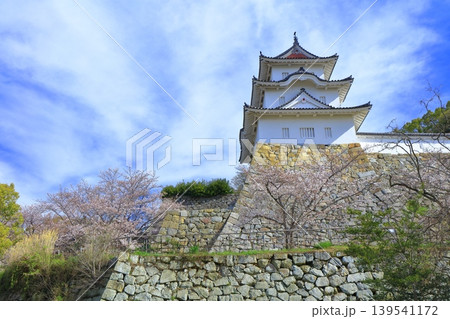 【兵庫県】桜が満開の明石城(坤櫓) 【兵庫県】桜が満開の明石城(坤櫓) 139541172
