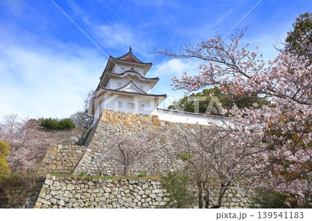 【兵庫県】桜が満開の明石城(坤櫓) 【兵庫県】桜が満開の明石城(坤櫓) 139541183