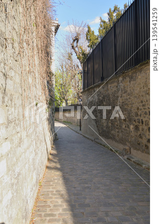 パリの細い路地裏 春のフランス都市風景(2026年3月15日) パリの細い路地裏 春のフランス都市風景(2026年3月15日) 139541259
